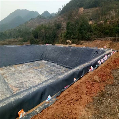 您了解魚(yú)塘防滲膜施工方法有哪些嗎？